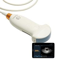 Hand-held bladder scanner