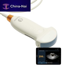 Hand-held bladder scanner