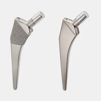 Cemented or non-cemented femoral stem IntraBlock TwinStem