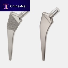 Cemented or non-cemented femoral stem IntraBlock TwinStem