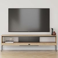 Minimalist design TV cabinet Ehelowboardwith shelvesoak