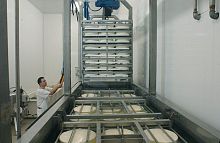 Dynamic cheese brining system
