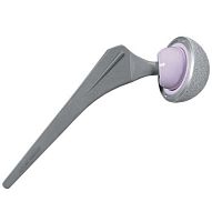 Primary hip prosthesis Bencox cementless
