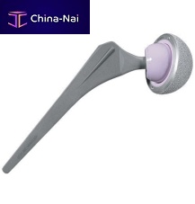 Primary hip prosthesis Bencox cementless