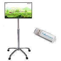 Pelvic floor rehabilitation system with pelvic electromyography (ANOP) Morpheus® PMR on casters