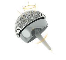 Femoral head prosthesis ADEPT®