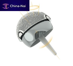 Femoral head prosthesis ADEPT®