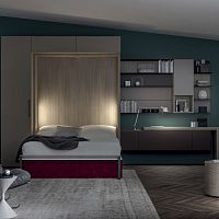 Wall bed ALCOVAdoublecontemporarywith storage compartment