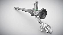 Optical veterinary otoscope for small animals