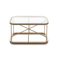 Contemporary coffee table TWIGGYglassoakrectangular