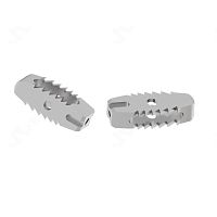 Lumbar interbody fusion cage T681anteriortitanium