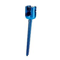 Thoracic-lumbar vertebra pedicle screw polyaxialmetallic