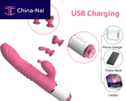   Dongguan Dibe Electronic Technology Co.