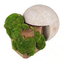 Original design side table walnutashfir