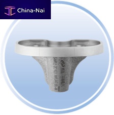 Cementless tibial bearing