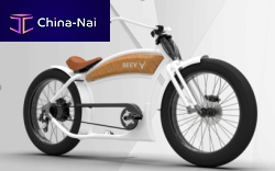   CHONGQING YINGANG SCIENCE & TECHNOLOGY (GROUP) CO.,LTD