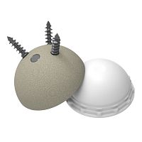 Cementless acetabular prosthesis Century II