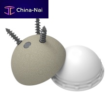 Cementless acetabular prosthesis Century II