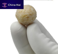 Allograft bone substitute ViviGen® for orthopedic surgerymalleable