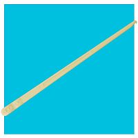 Amniotic membrane perforator