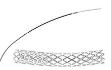 Coronary stent Cygnus IIcobalt-chromium