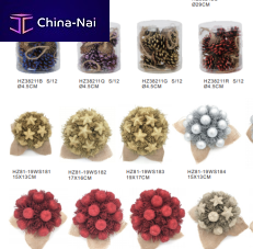        Asia Excellent Shenzhen Industrial Ltd. 
