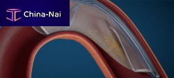 Aortic embolic protection system FLOWer