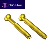 Arm arthrodesis screw tibiacalcaneusmetacarpal joint