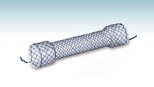 Esophageal stent HANAROSTENT®(CCC)