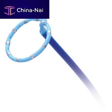 Diagnostic catheter Eel Cathmappingcardiacpulmonary vein