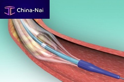PTCA catheter POWERLINEcoronaryballoonhydrophilic