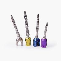 Thoraco-lumbar pedicle screw Erisma®-LP Evopolyaxialcannulated