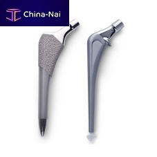 Primary hip prosthesis ALPINE® cemented or non-cemented