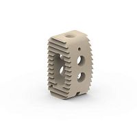 Lumbar interbody fusion cage posteriorPEEK