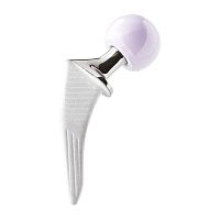 Cementless femoral stem TARGOS MINI