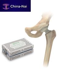 Temporary hip spacer RepliCase
