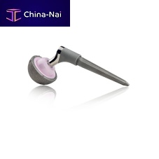 Primary hip prosthesis SMR 100�scementless
