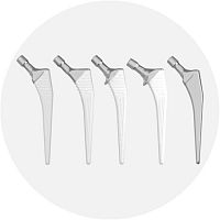 Cemented or non-cemented femoral stem EUROSTEM