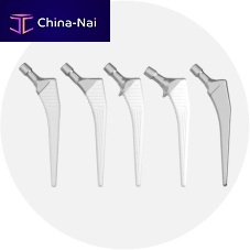 Cemented or non-cemented femoral stem EUROSTEM