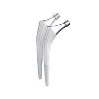 Cementless femoral stem Hip�n go