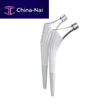 Cementless femoral stem Hip�n go
