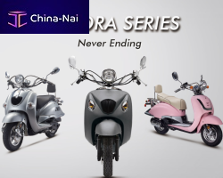 ,   The CHINA ZHONGNENG VEHICLE GROUP CO.,LTD