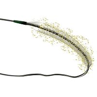 Coronary stent Abraxpolymerdrug eluting