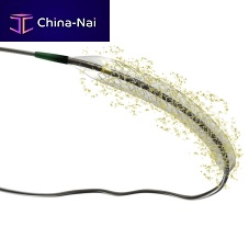 Coronary stent Abraxpolymerdrug eluting
