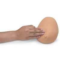 Breast palpation simulator BSEgynecological carefor tumorsbreast