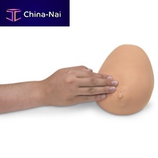 Breast palpation simulator BSEgynecological carefor tumorsbreast