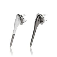 Revision shoulder prosthesis ARAMIScemented or non-cemented