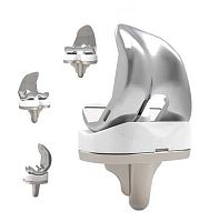 Total knee prosthesis Rhino®