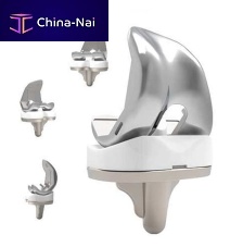 Total knee prosthesis Rhino®