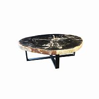 Contemporary table petrified woodmetal basecommercial